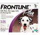 Frontline
